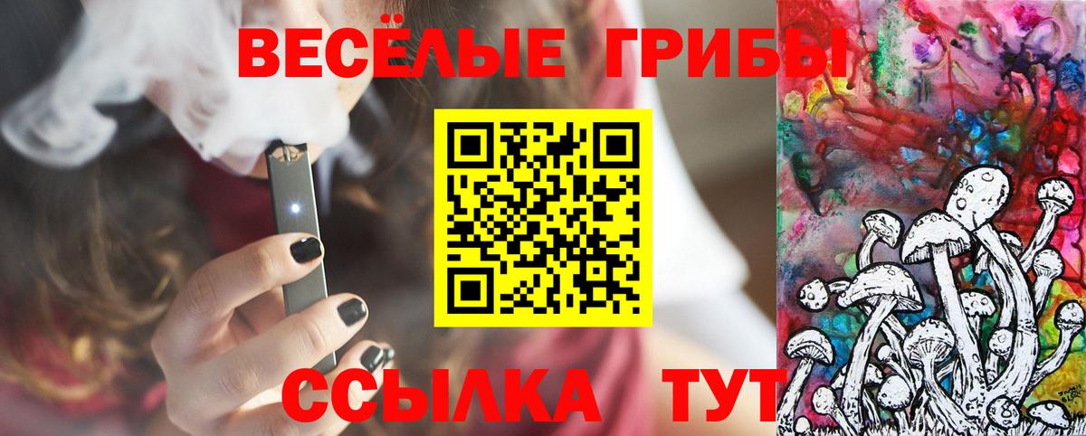 Псилоцибиновые грибы мухоморы  Псилоцибиновые грибы мухоморы  Протвино  Вход с VPN 